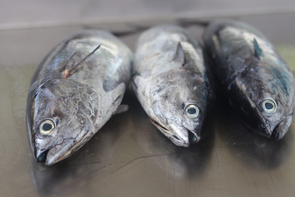 Omega 3: Prečo majú nenahraditeľné účinky na zdravie?